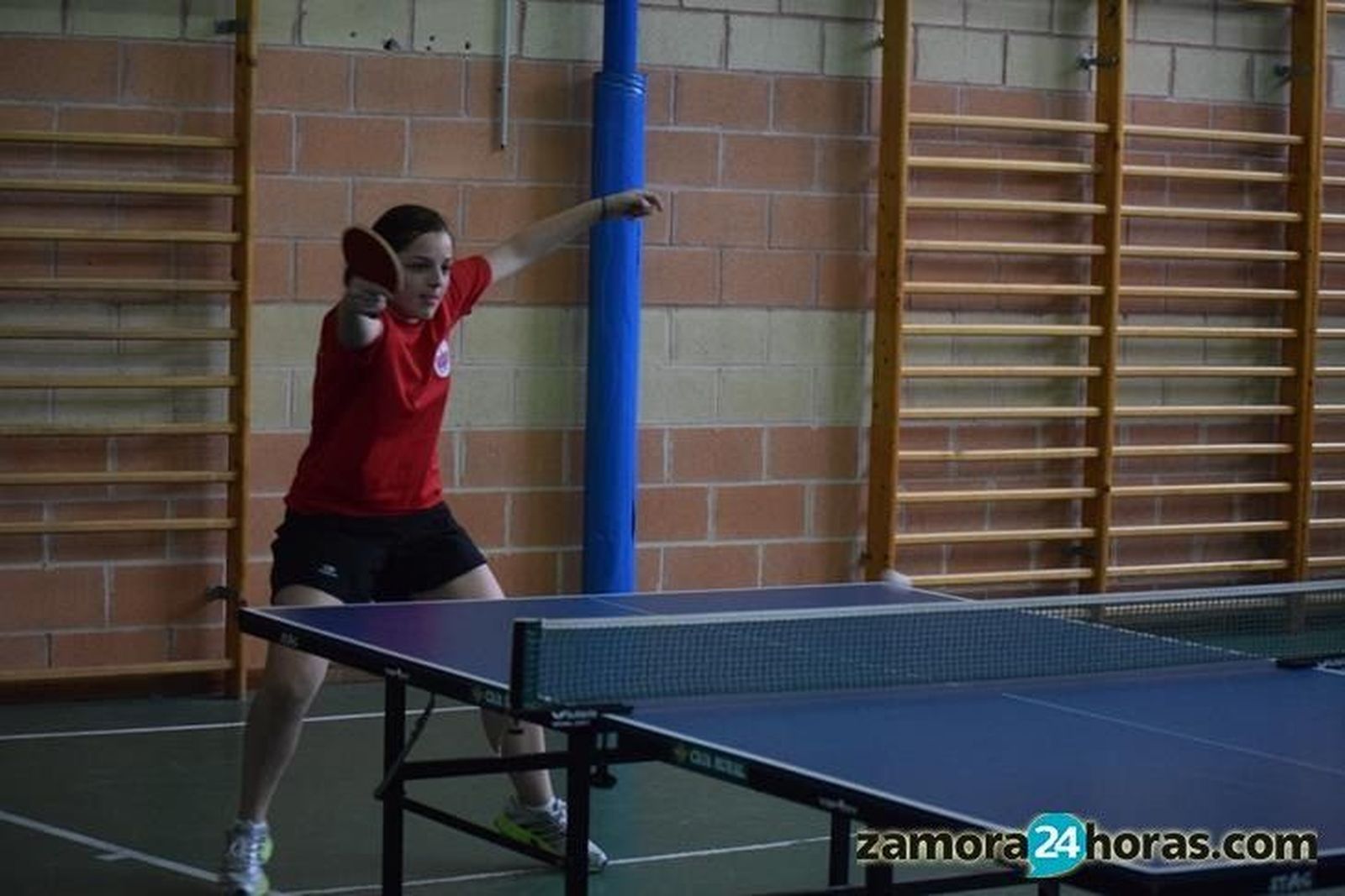 Tenis de Mesa La Josa