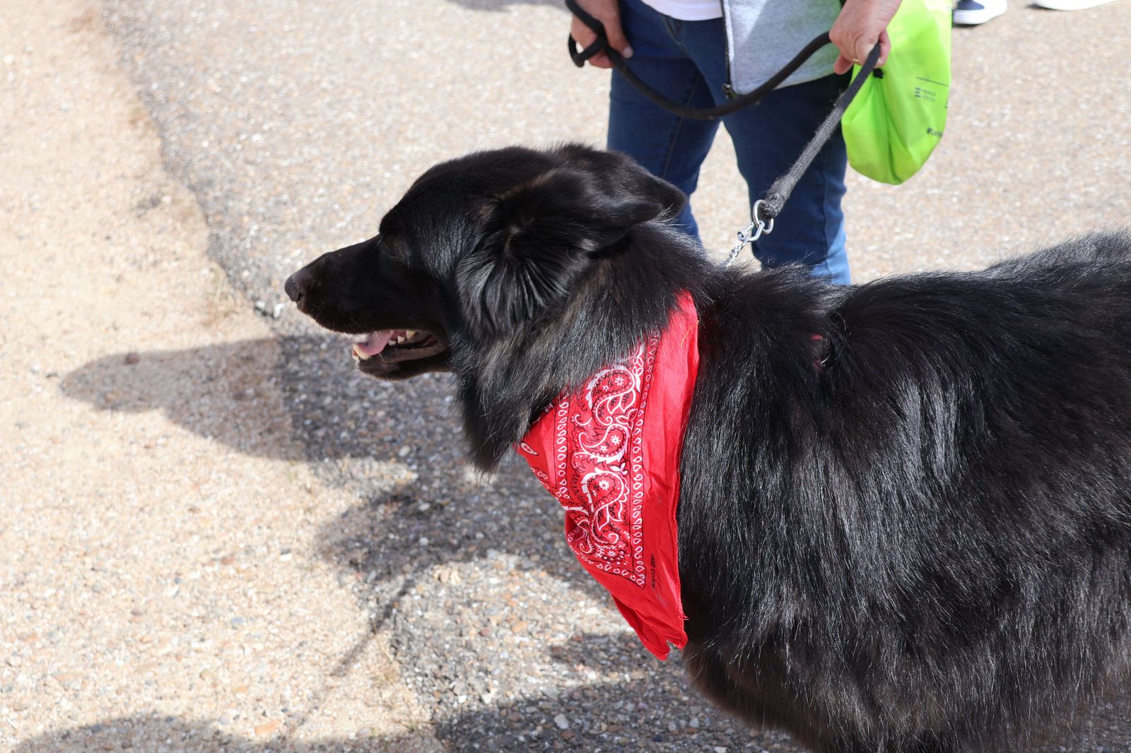 cristo-de-morales-2024-32