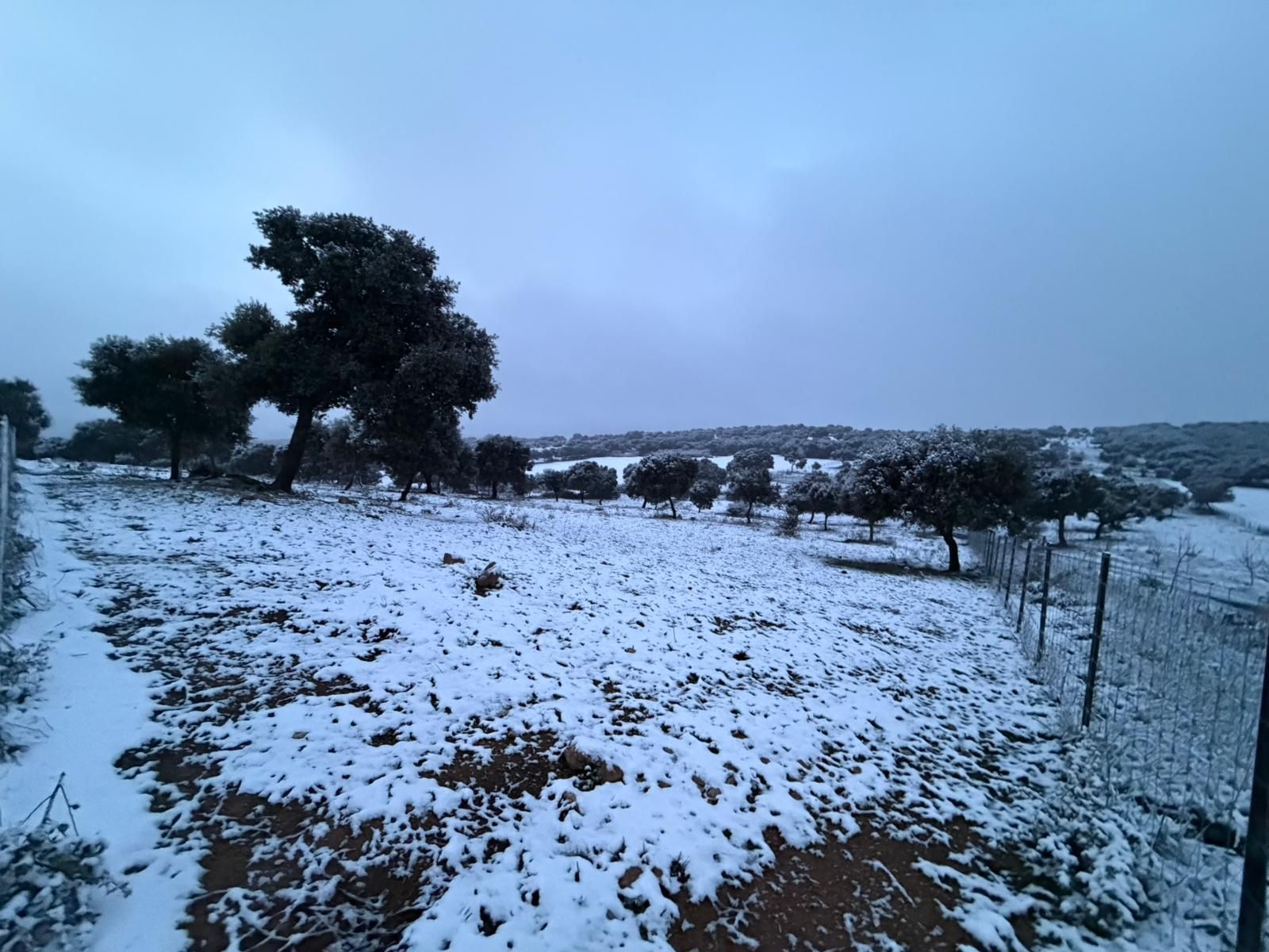 Nieve en Cuatro Calzadas y Guijuelo este sábado