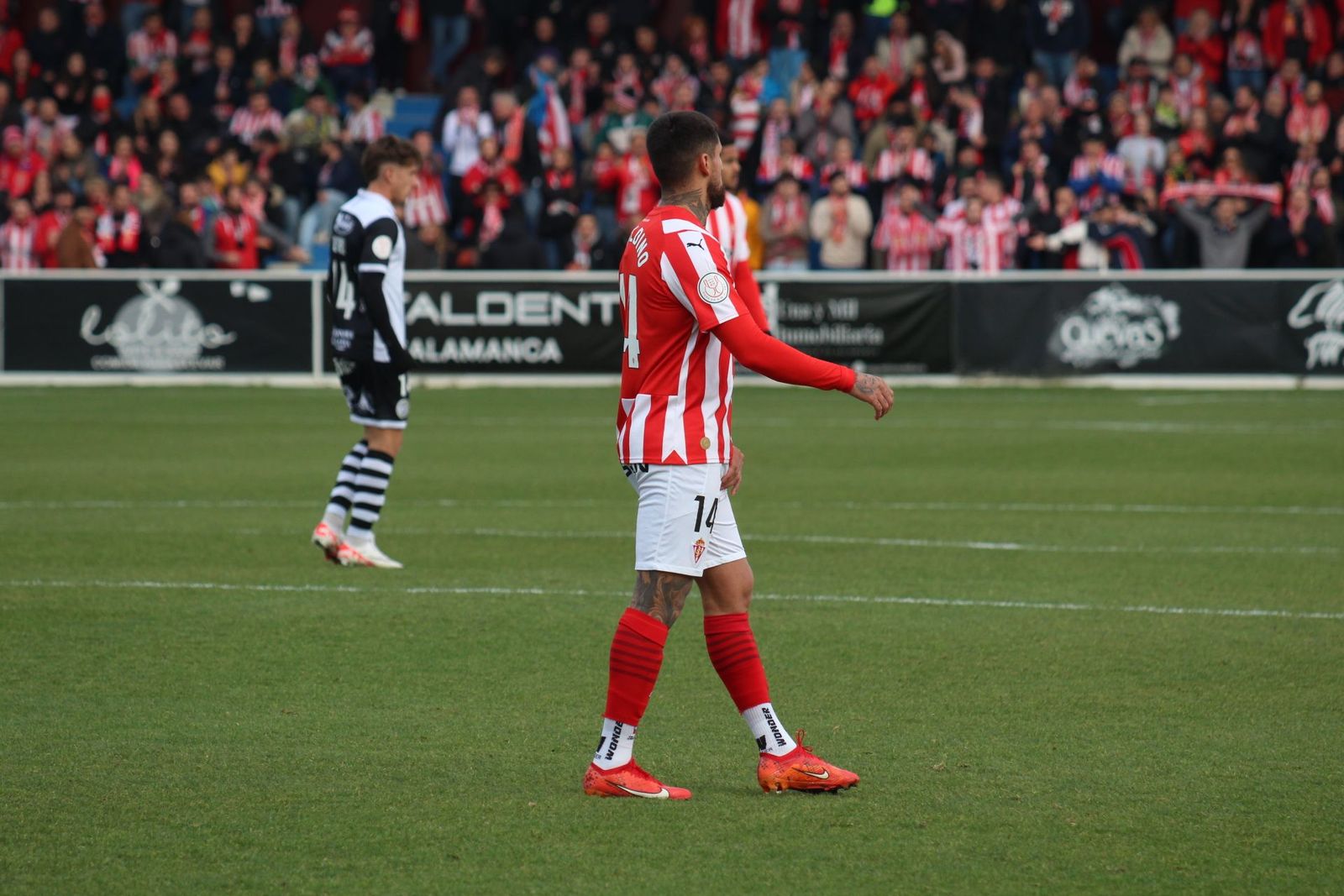 20231206175730-img-6837