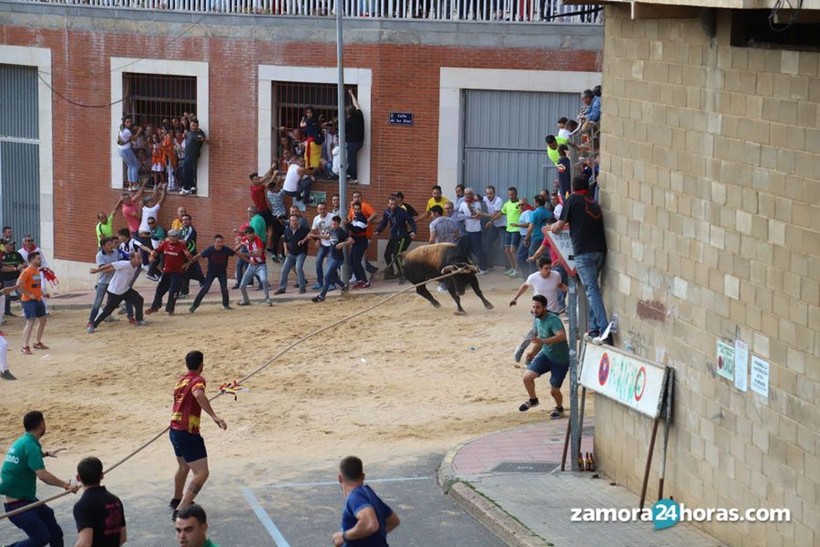 Toro Enmaromado 2019 Fotos: María Lorenzo