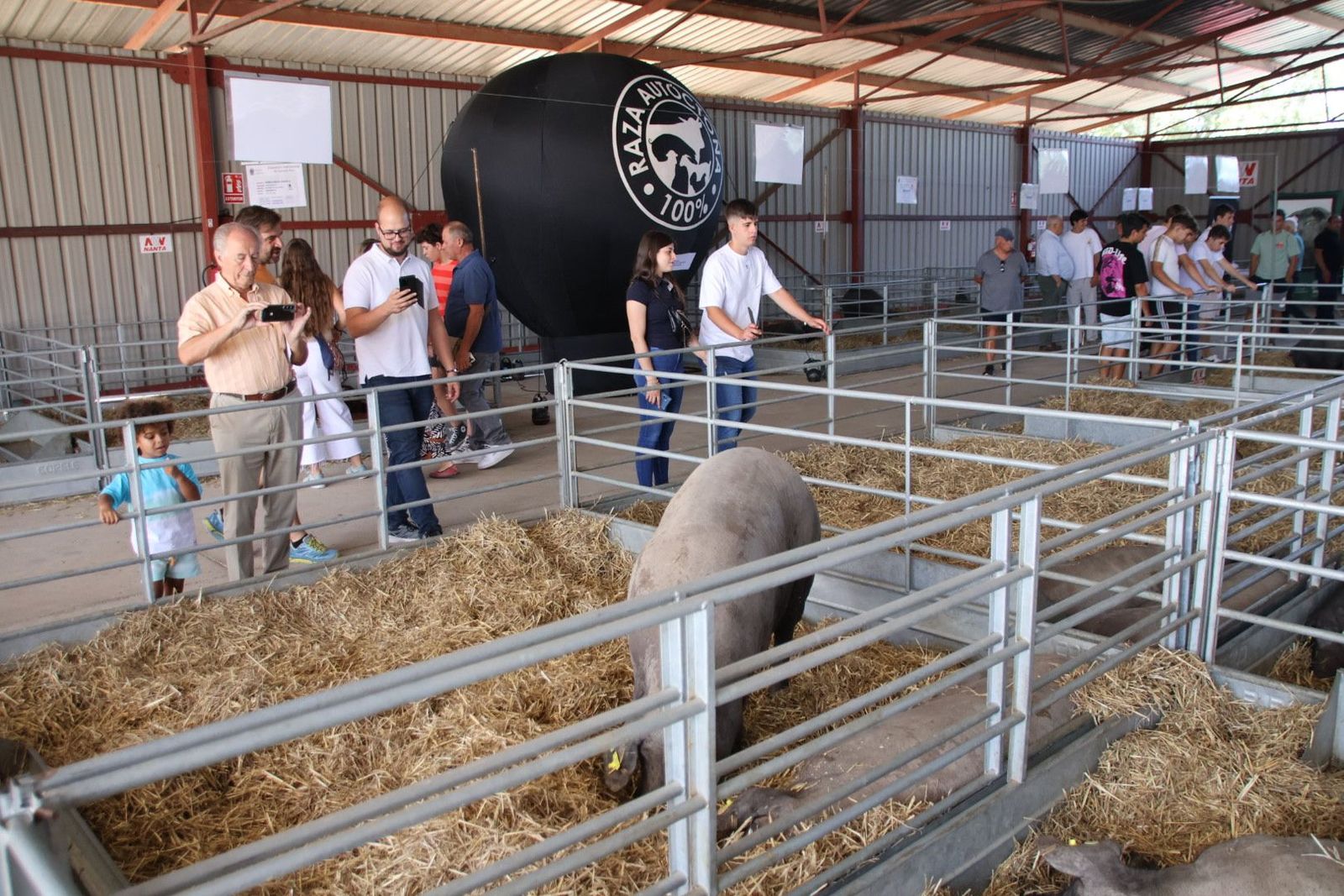 Ambiente en Salamaq 2023. Fotos Andrea M.