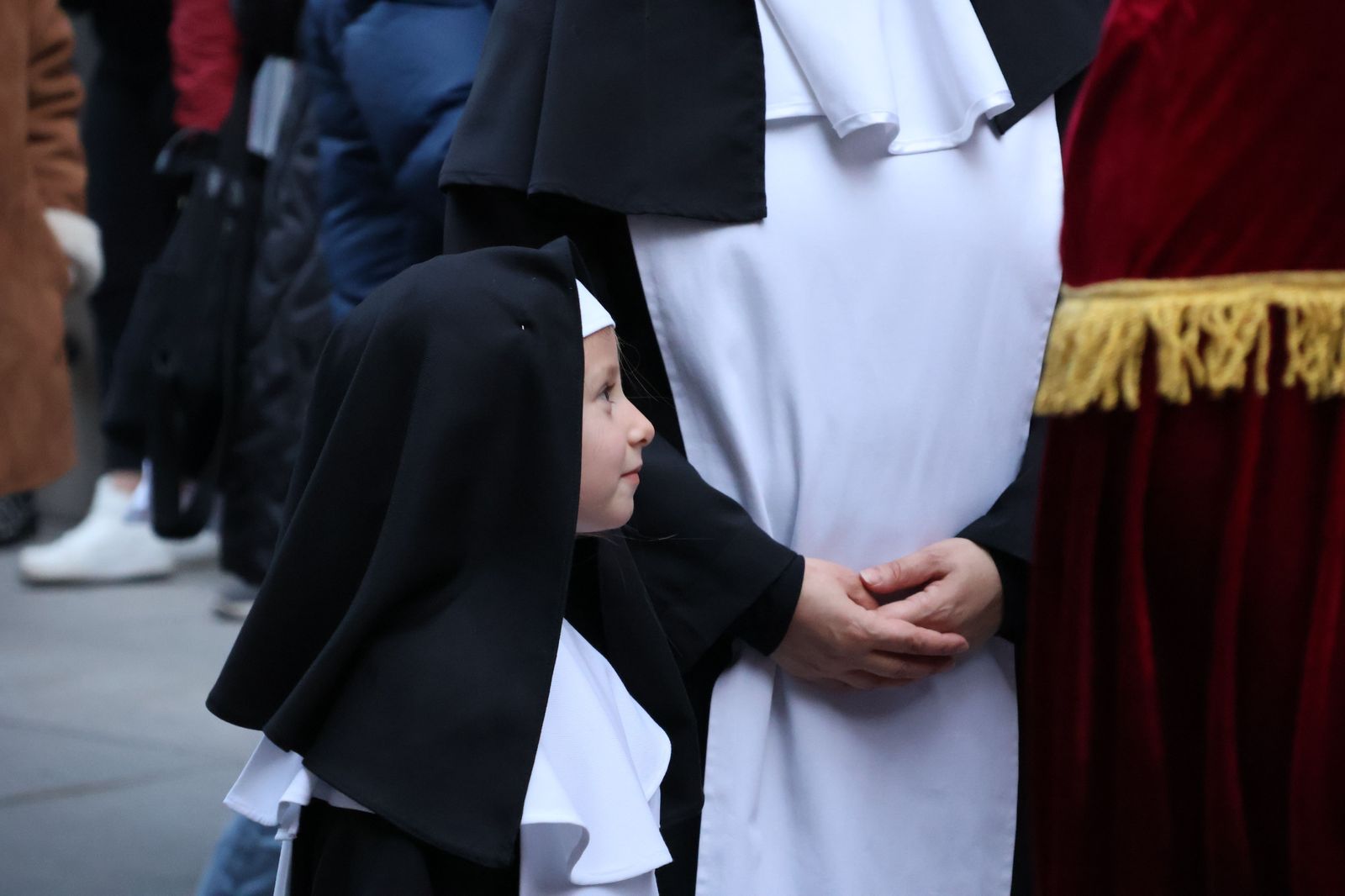 entierro-de-la-sardina-2025-9