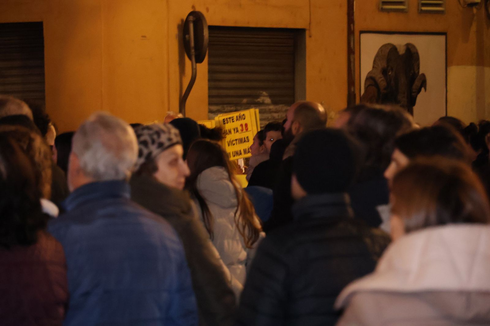 GALERÍA | La movilización en Zamora para reclamar el fin de la violencia machista en imágenes