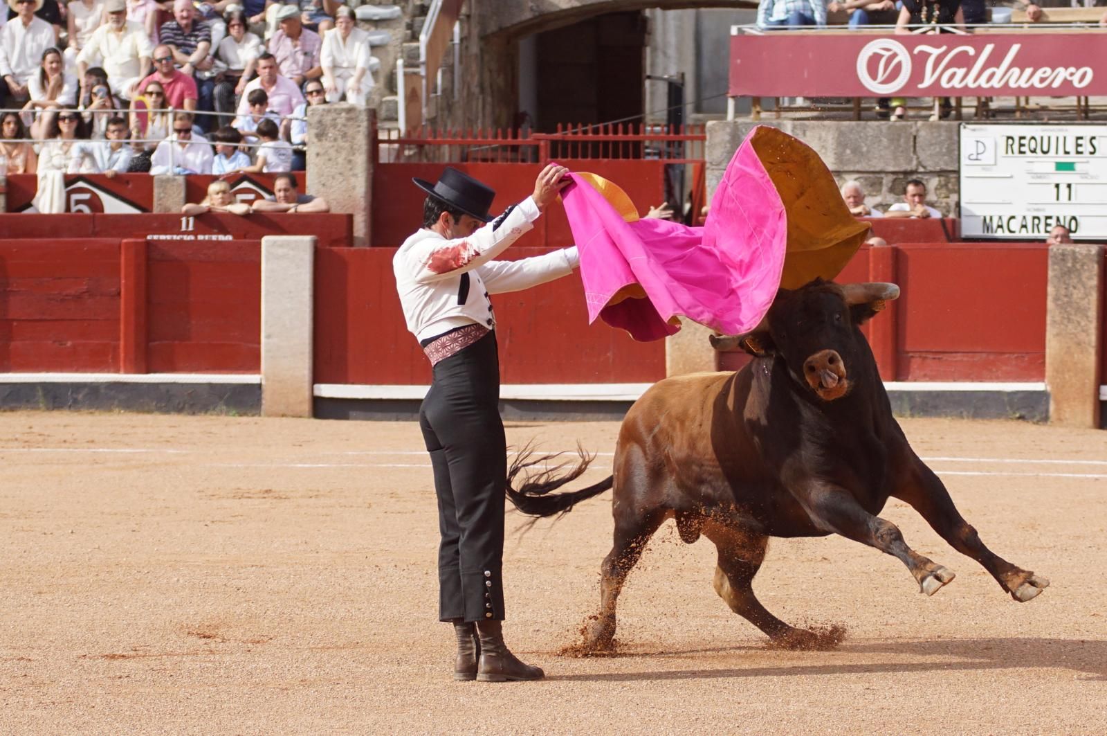 whatsapp-image-2025-06-12-at-21-25-04