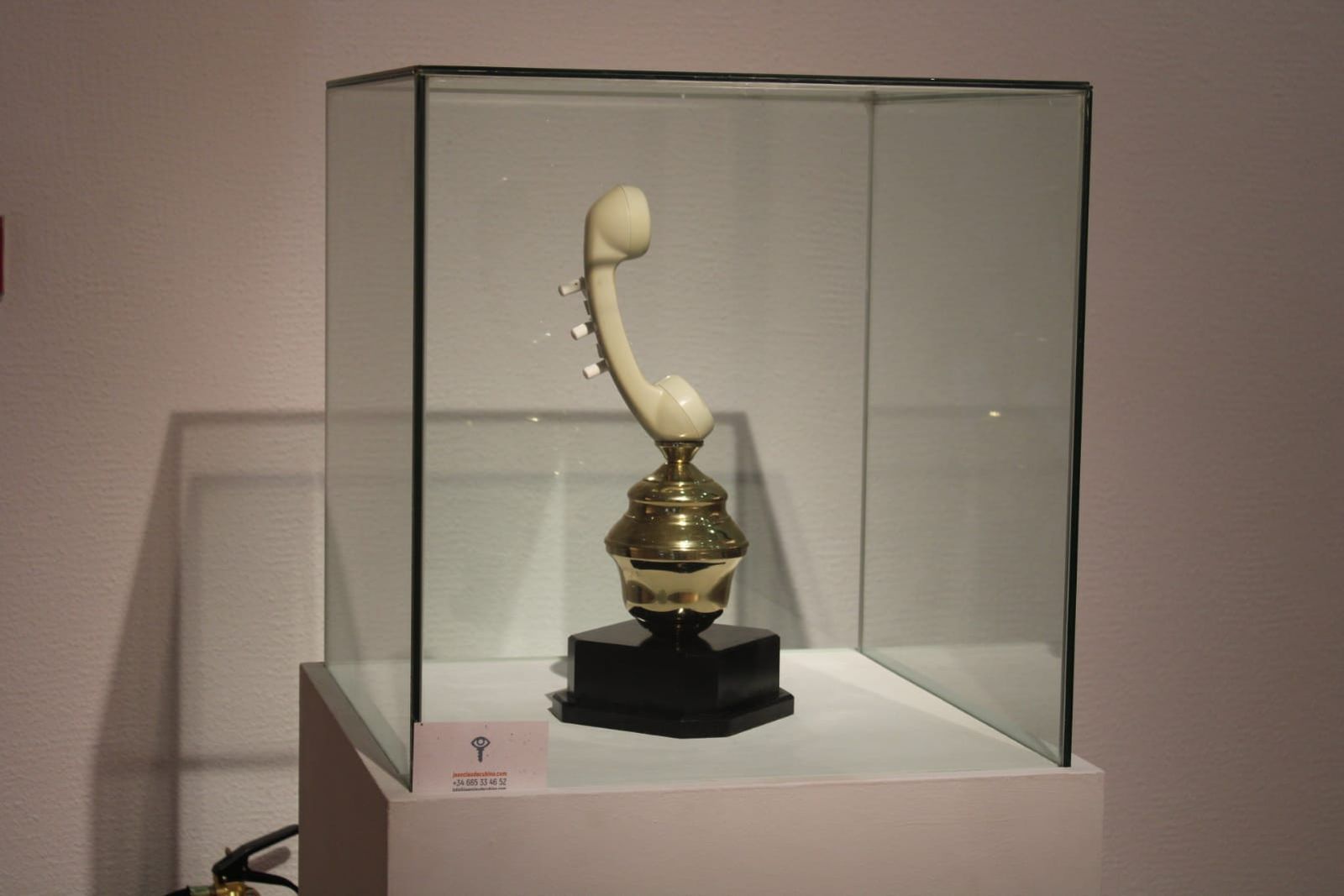 inauguracion-de-la-exposicion-la-llamada-encendida-de-jean-claude-cubino-29
