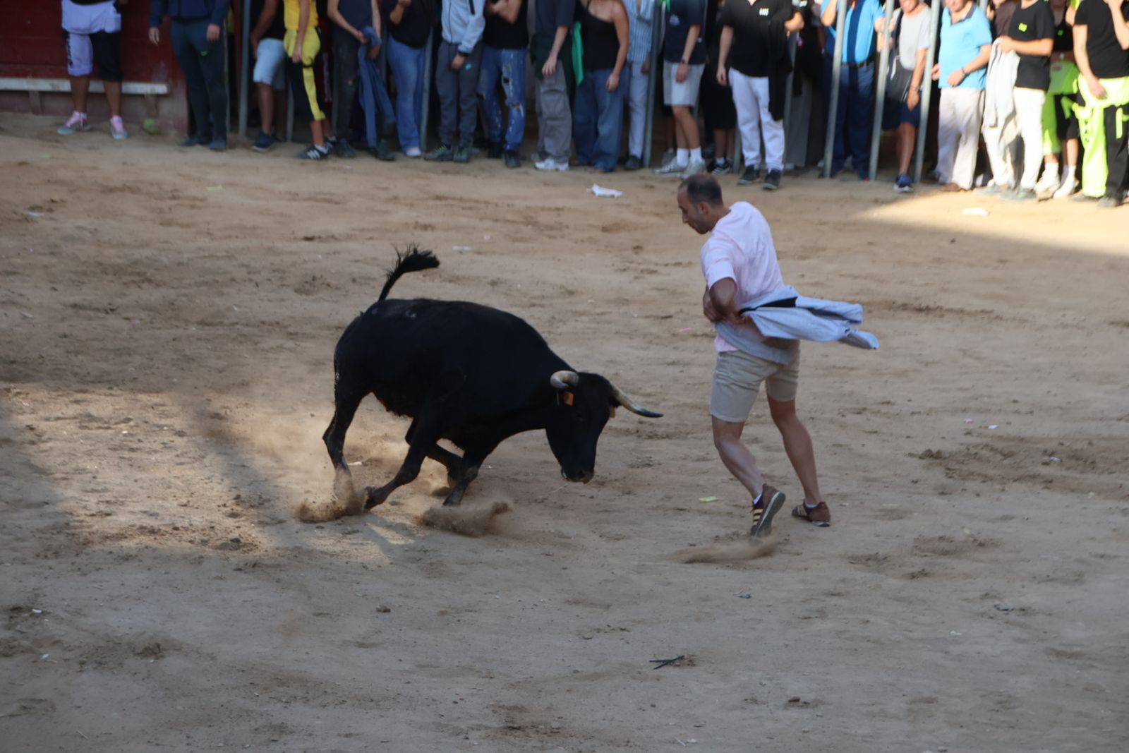 Encierro en Aldeadávila