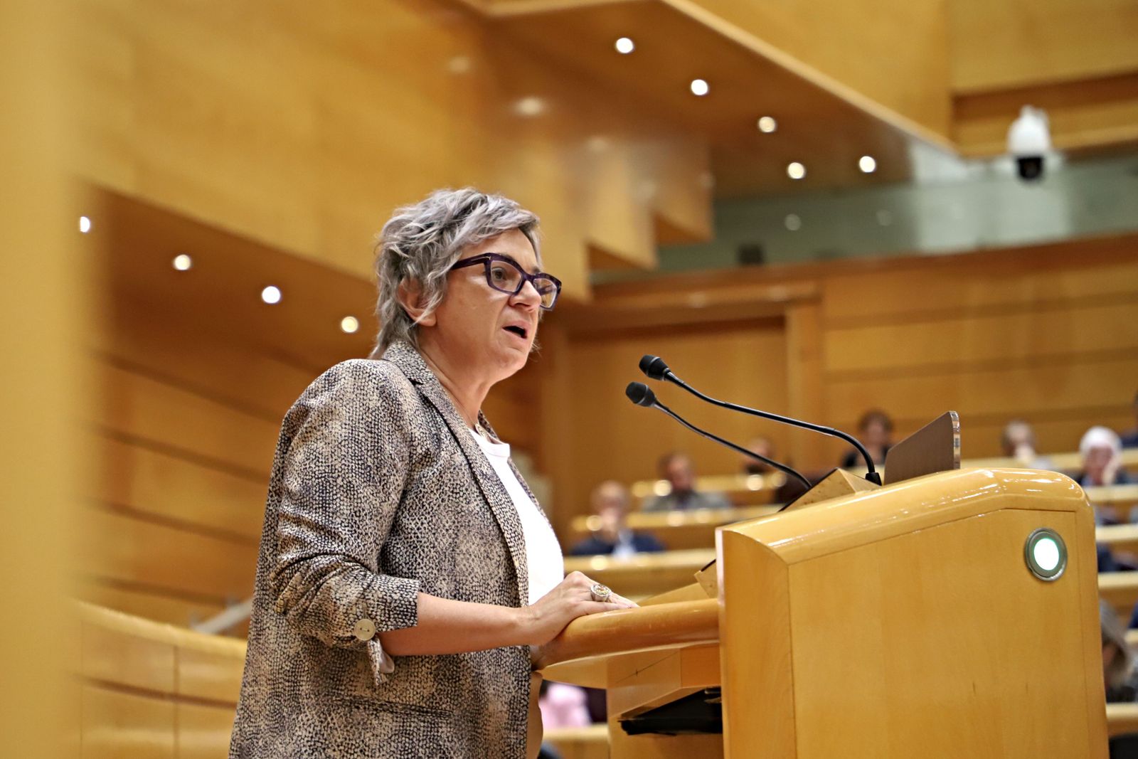 Elena Diego, senadora del PSOE por Salamanca