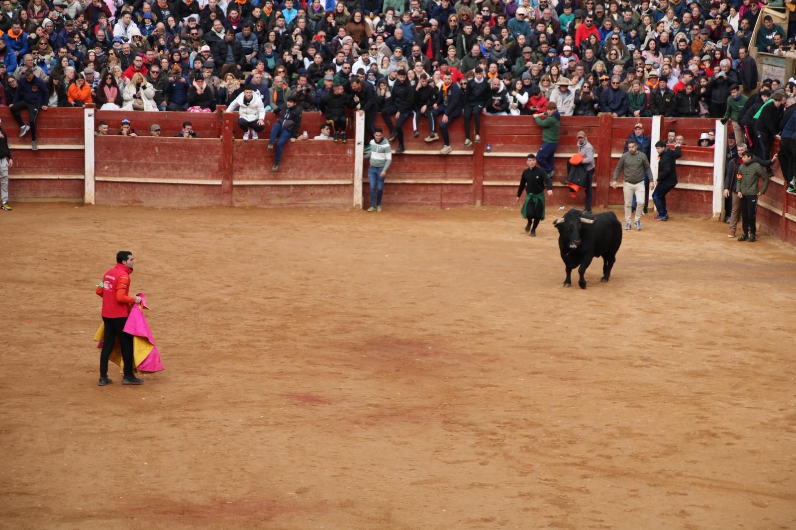 Encierro del lunes de Carnaval en Ciudad Rodrigo, toros de Fermín Bohórquez
