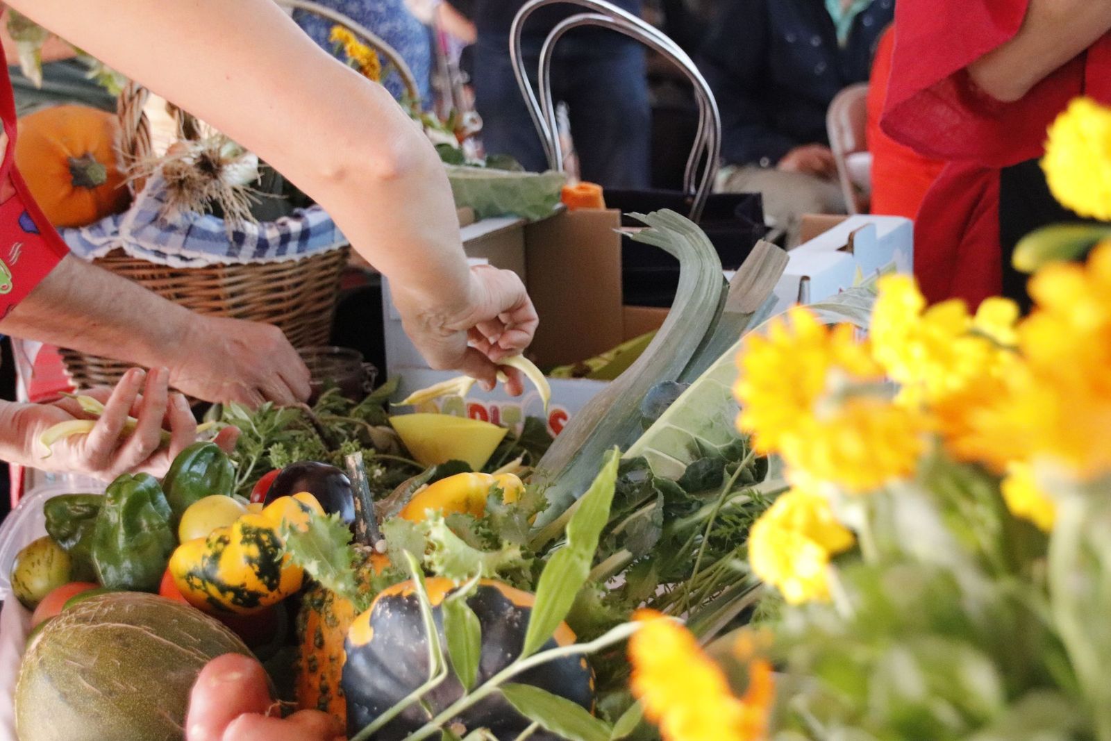 20220917101729-mg-8942