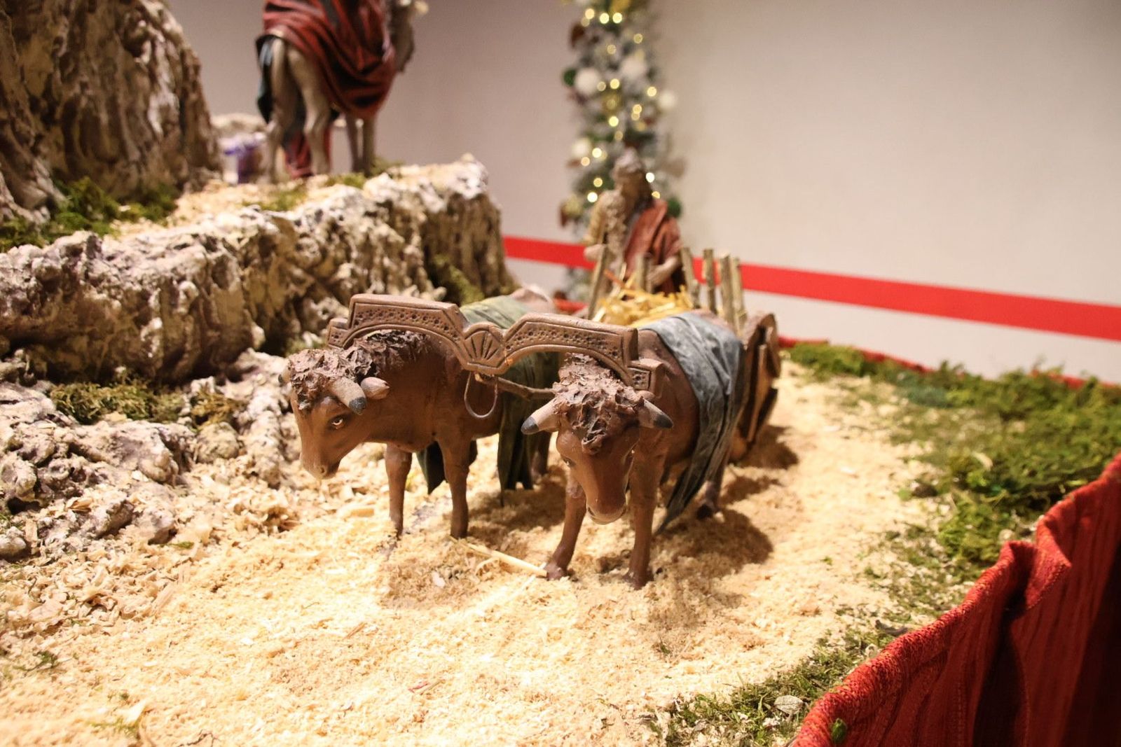 20231201134139-img-5052