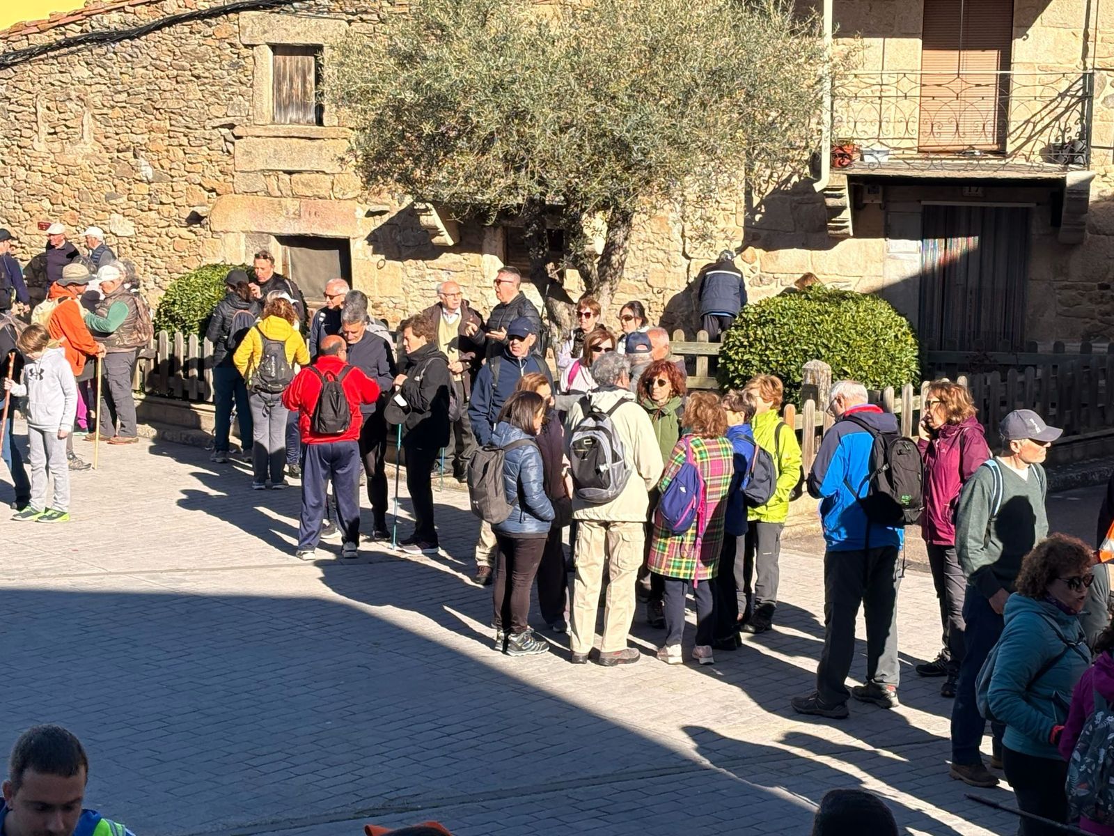 whatsapp-image-2025-03-30-at-10-44-21