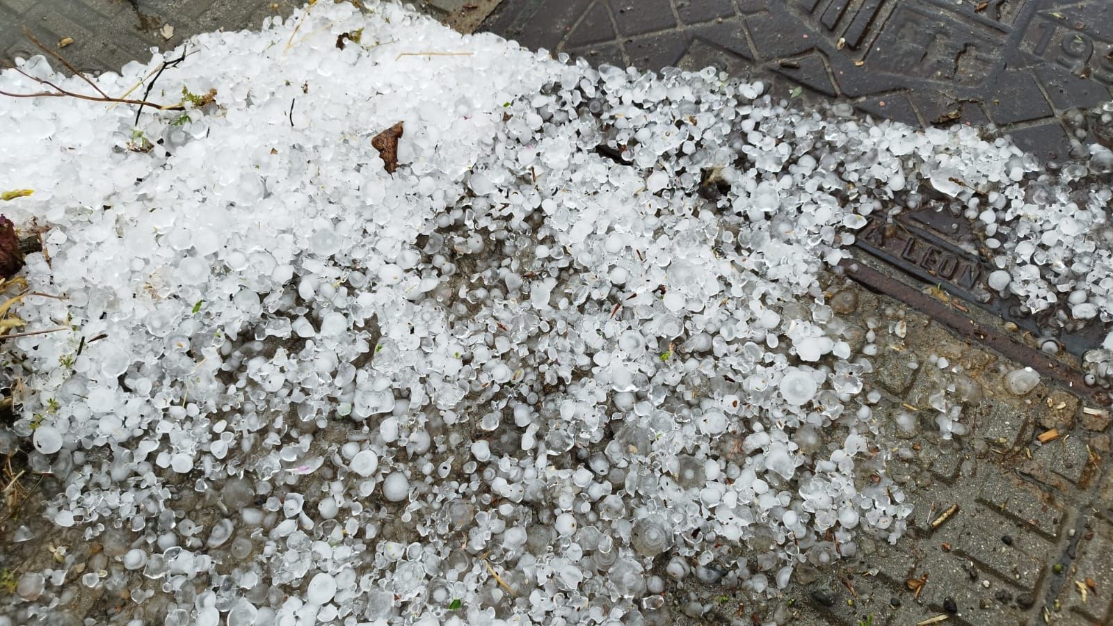 whatsapp-image-2024-06-08-at-18-11-48