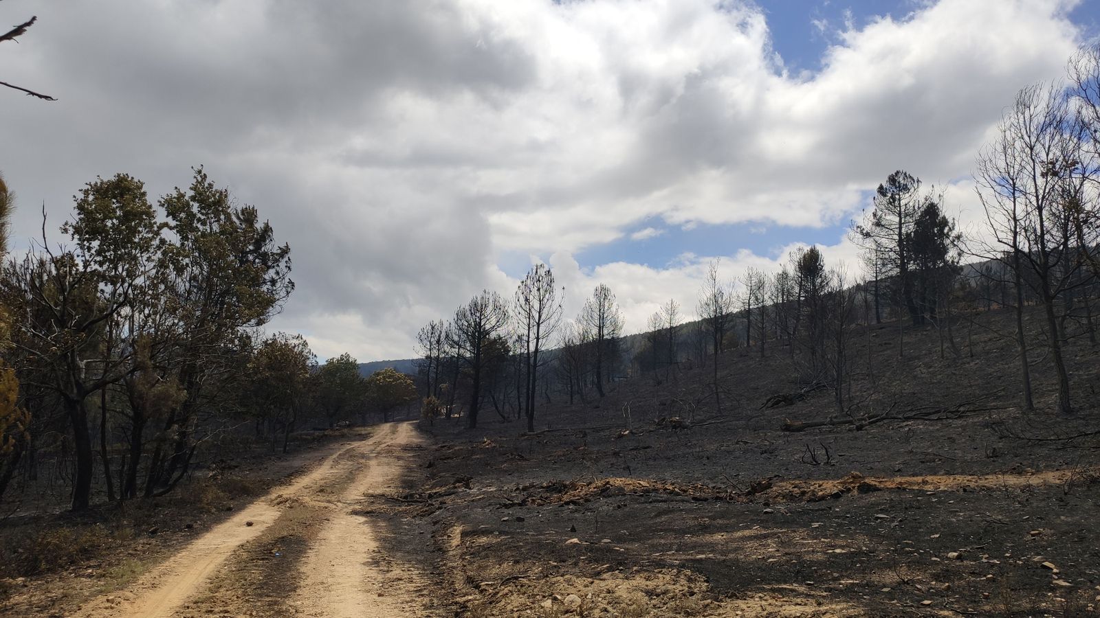 las-desoladoras-imagenes-de-la-sierra-de-la-culebra-tras-el-incendio-21