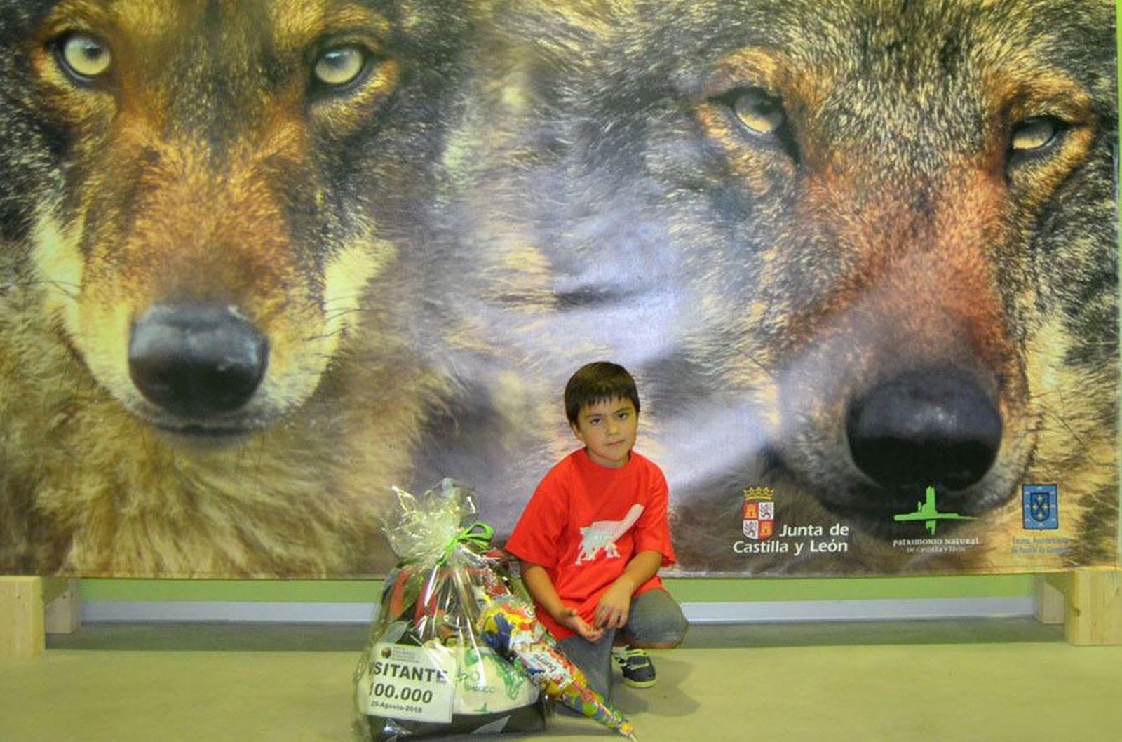 Visitante+100.000+Centro+del+Lobo