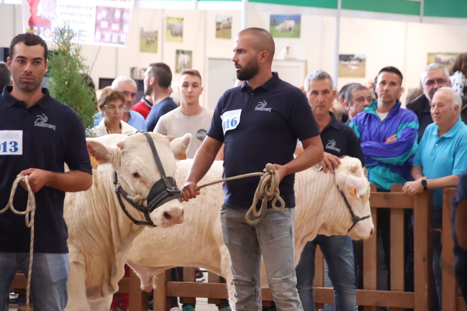 20230902101637-img-6942