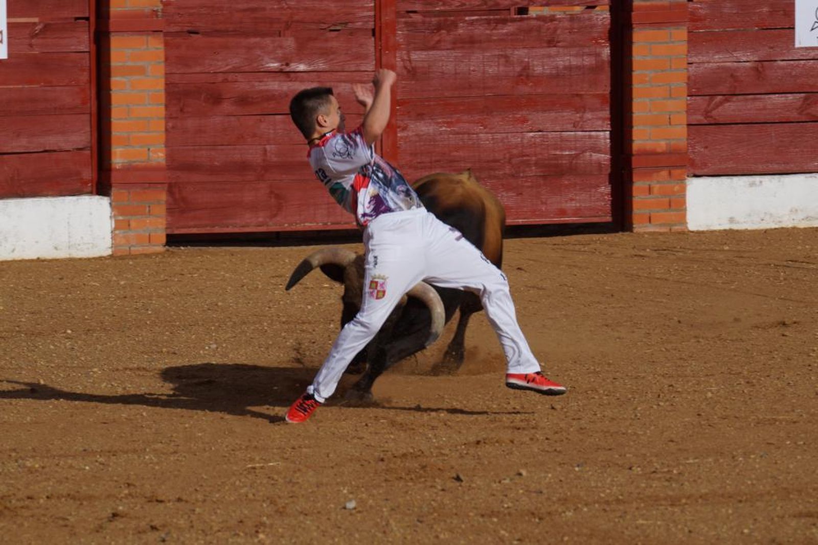 whatsapp-image-2021-07-03-at-21-50-46-11