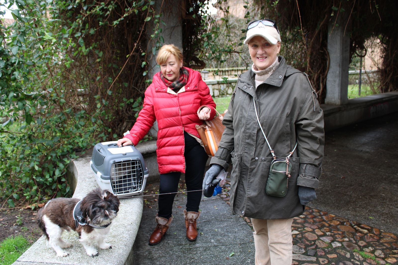 san-anton-bendicion-de-animales-2024-foto-s24h-4