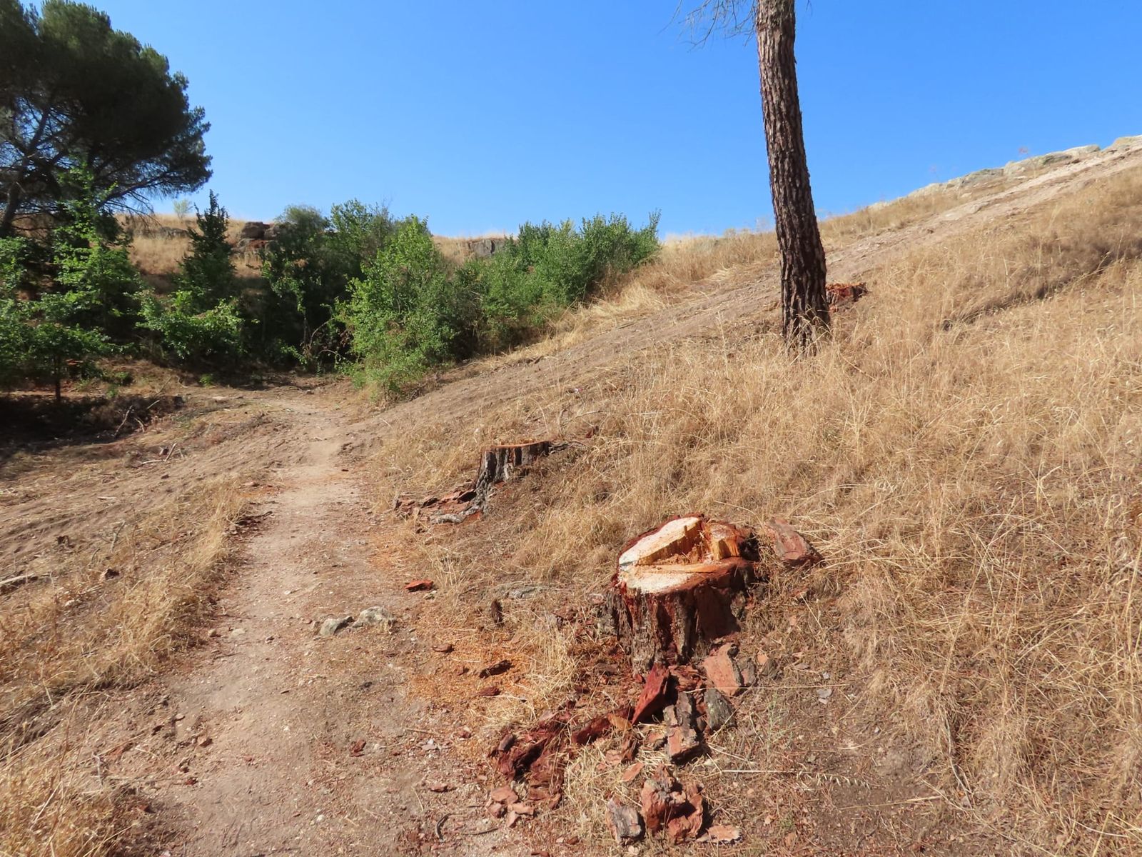 Intervención en Valorio