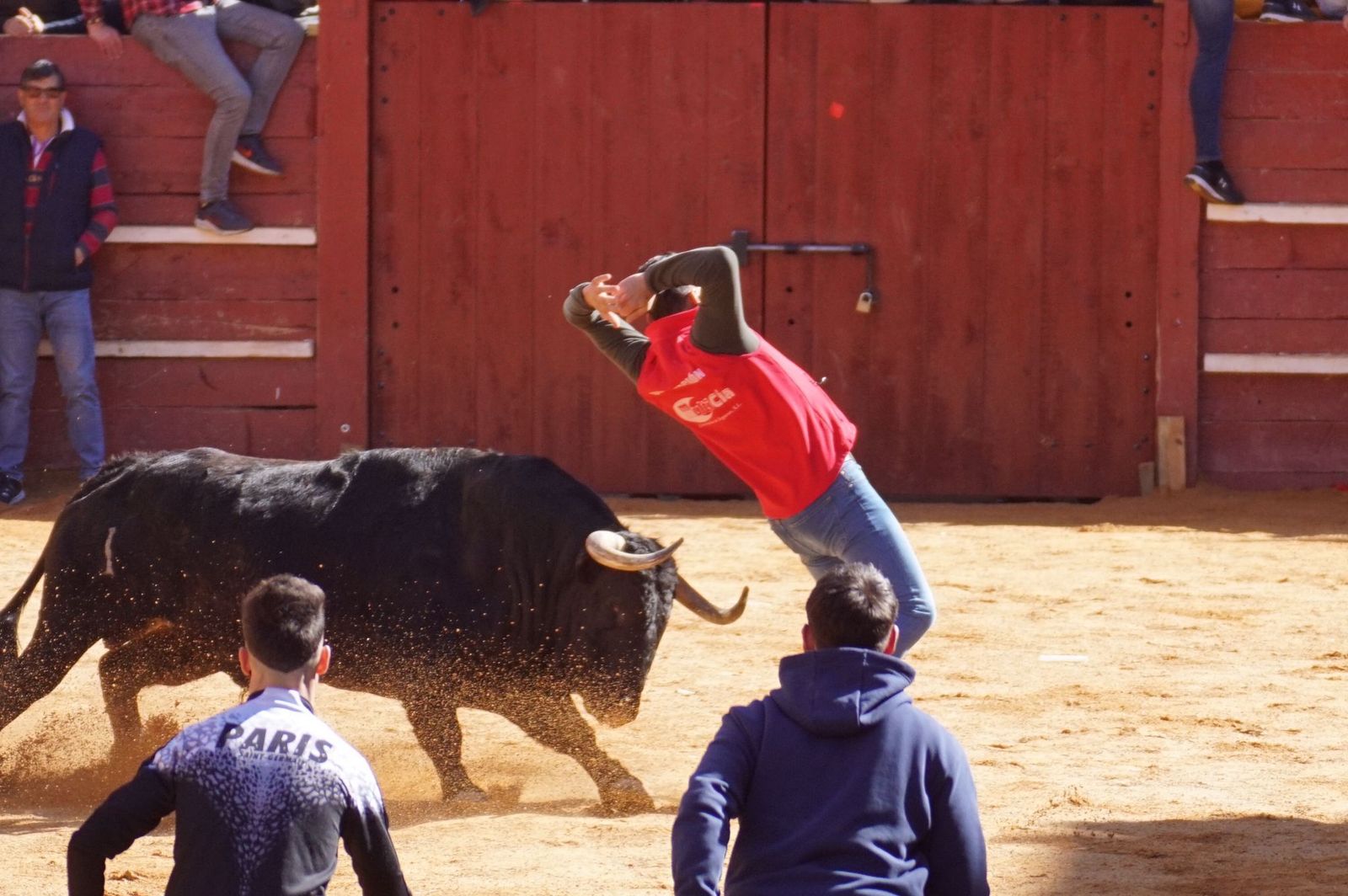encierro-capea-y-ambiente-en-ciudad-rodrigo-en-este-lunes-de-carnaval-65