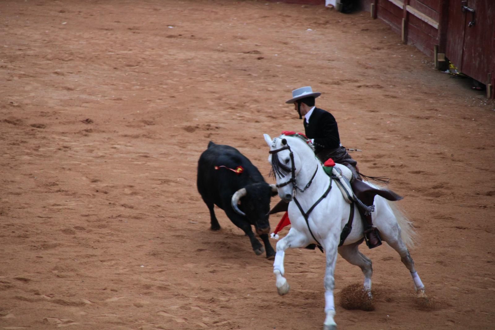 whatsapp-image-2025-03-02-at-18-55-50