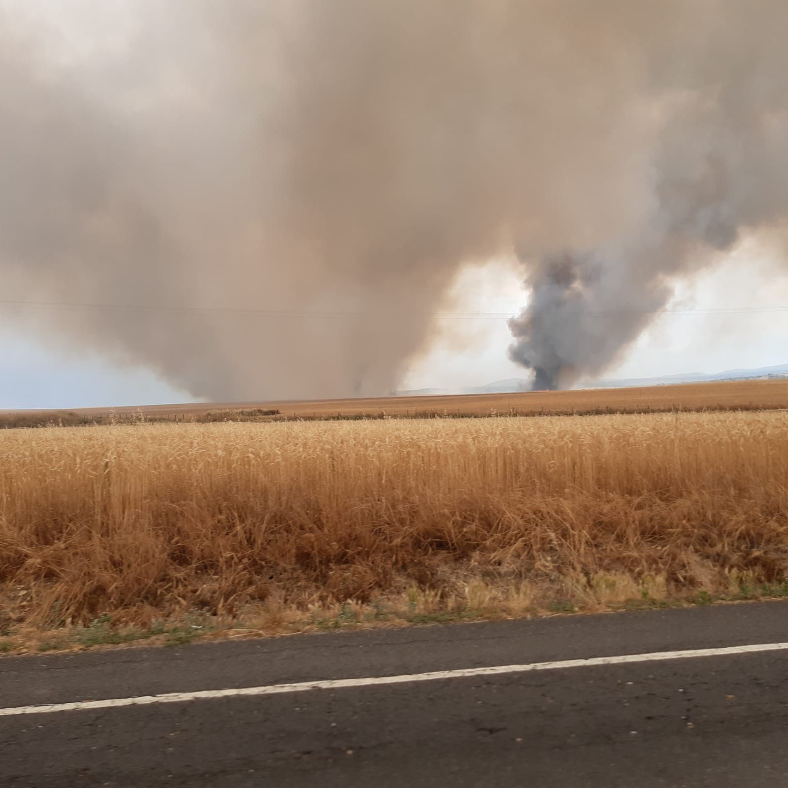 Incendio de cultivo en Malpartida Incendio de cultivo en Malpartida