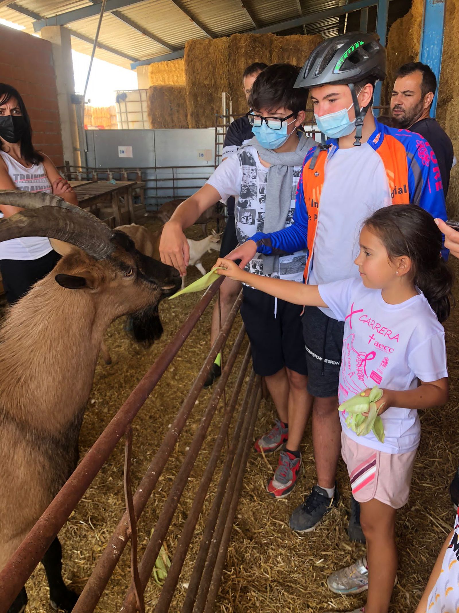 semana-cultural-en-casaseca-de-las-chanas-16