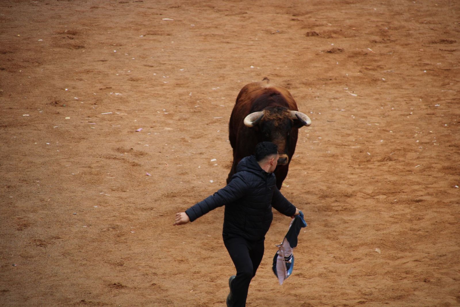 encierro-urbano-martes-de-carnaval-ciudad-rodrigo-2025-14