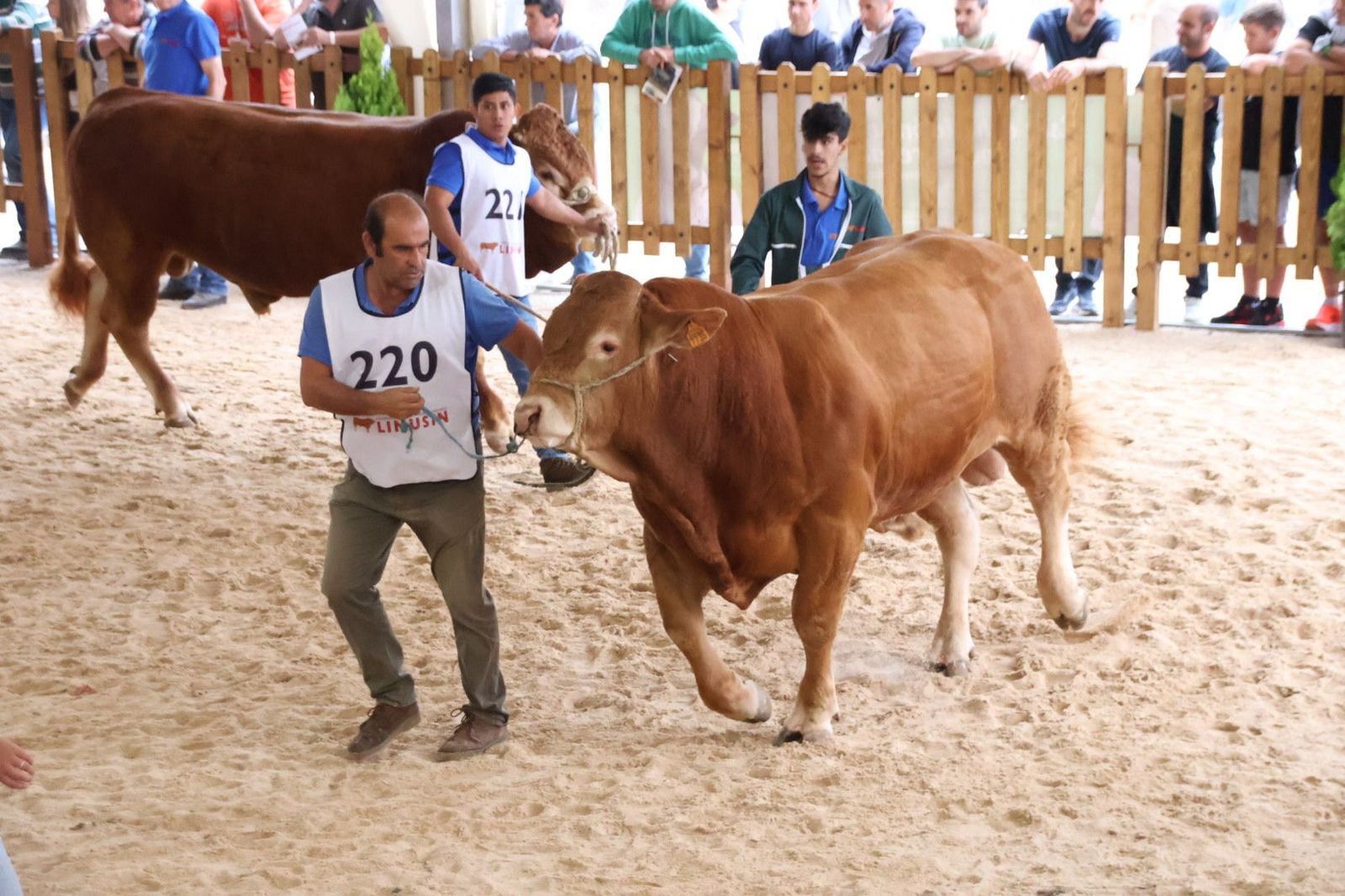 20230902105656-img-6994