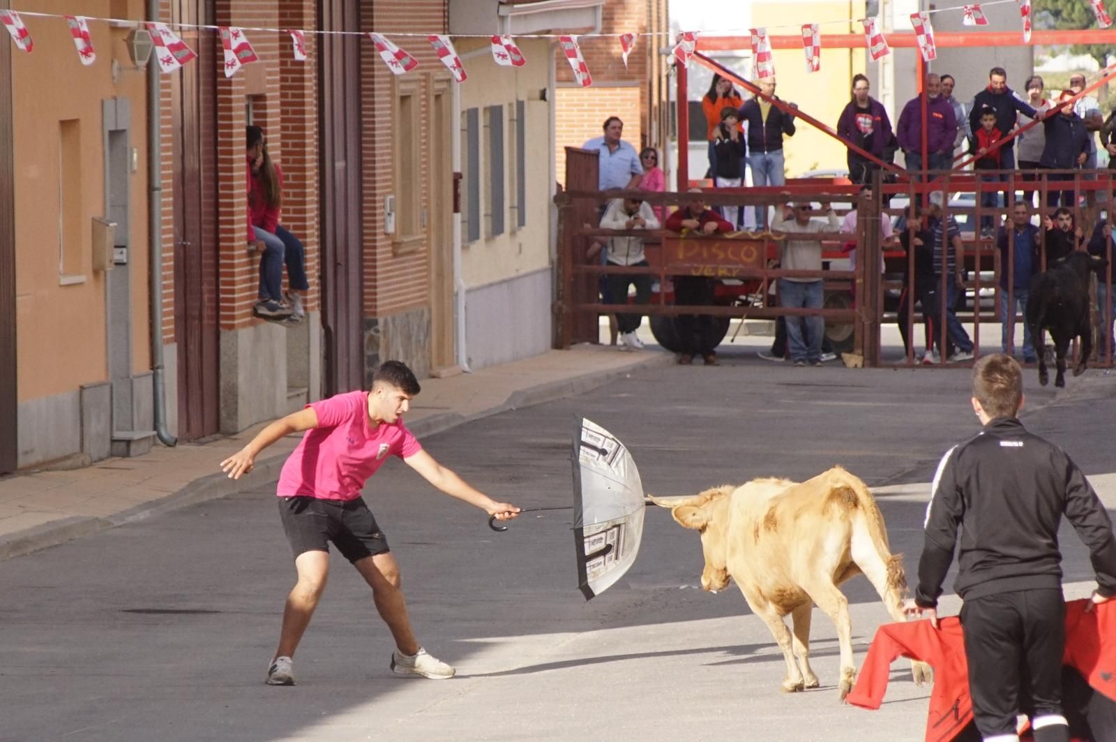 whatsapp-image-2024-09-08-at-14-04-56-3