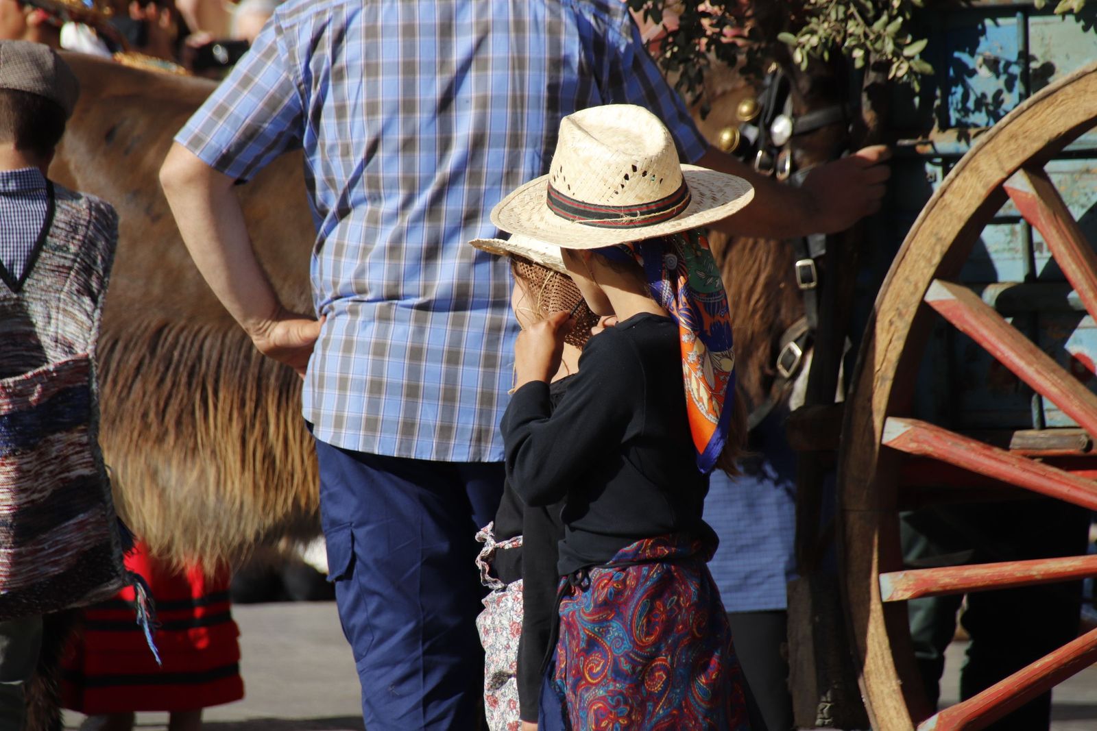 20220604181539-mg-2070