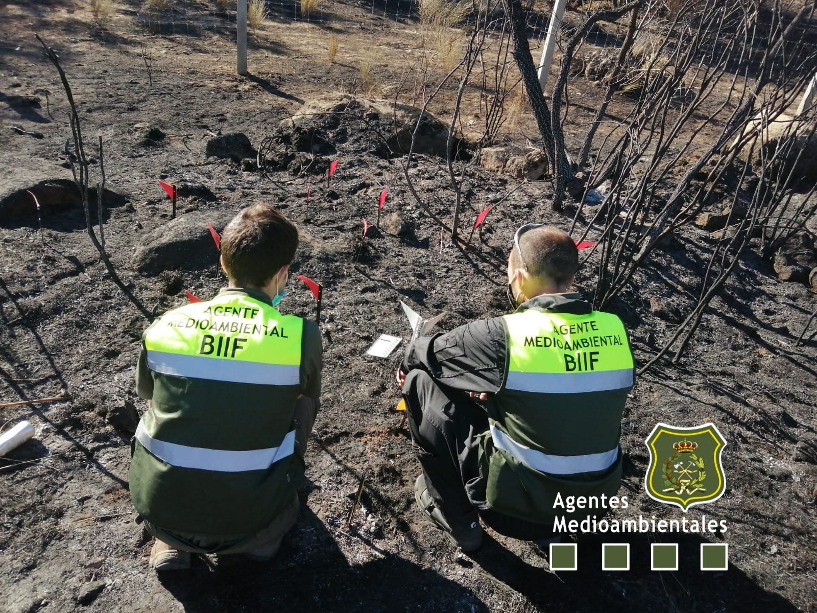 Agentes medioambientales en el terreno