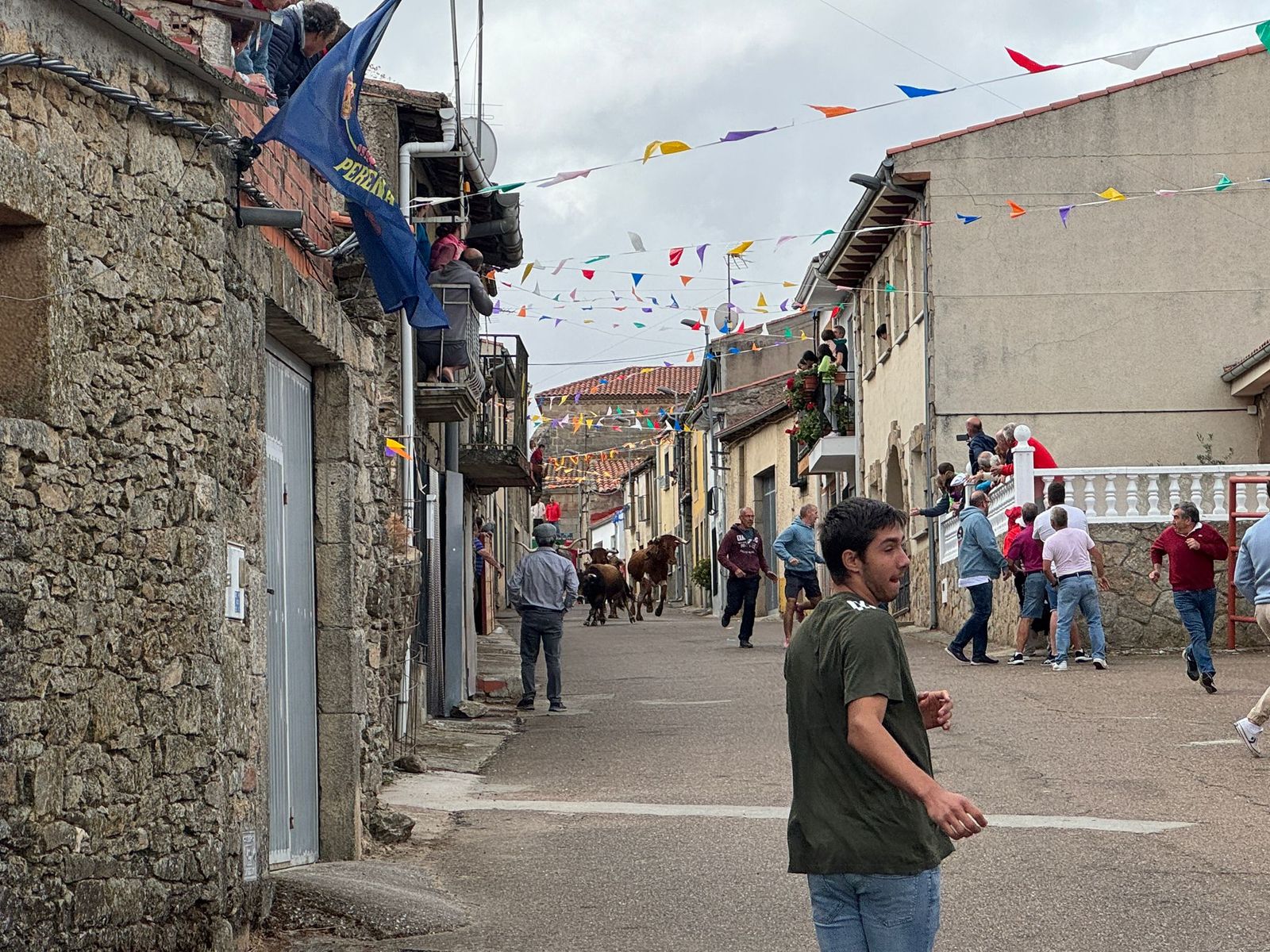 Segundo encierro con novillos de Valdeflores en Pereña de la Ribera