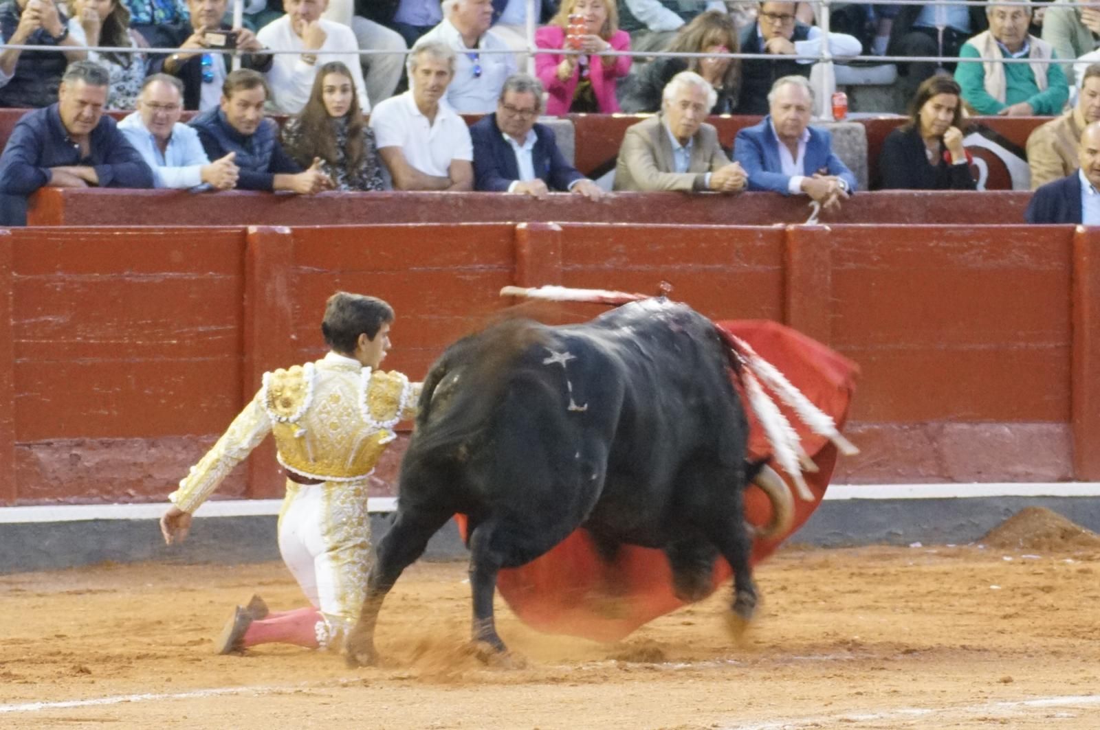 corrida-concurso-momentos-mas-destacados-del-ultimo-festejo-de-abono-de-la-feria-taurina-virgen-de-la-vega-2024-fotos-carlos-h-g-y-juanes-19
