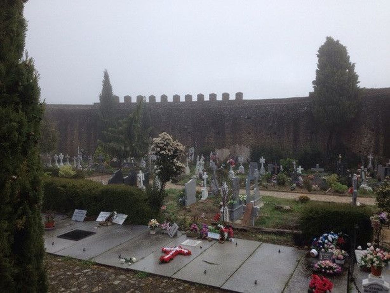 Cementerio san martin del castañar