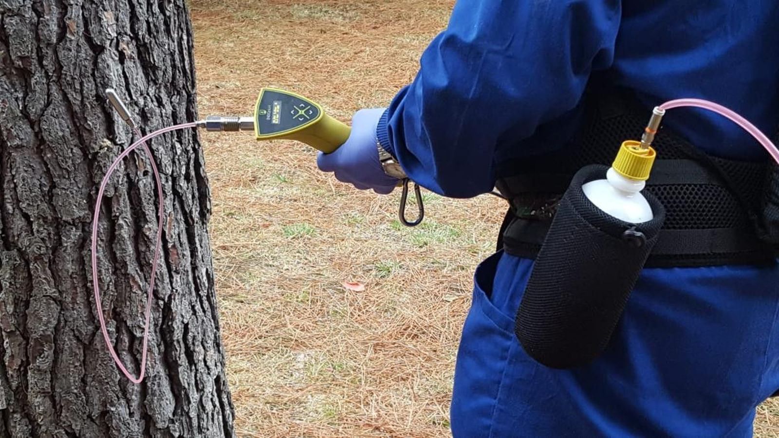 FITOSANITARIOS (2) 1200x675