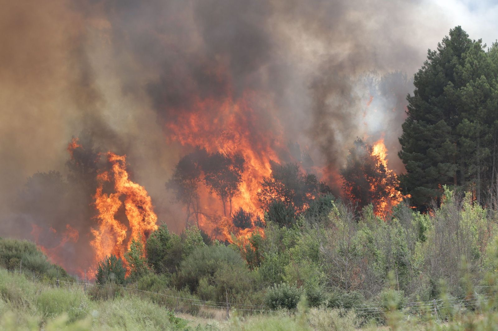 Incendio de Puercas. La situación entre Abejera y Riofrío