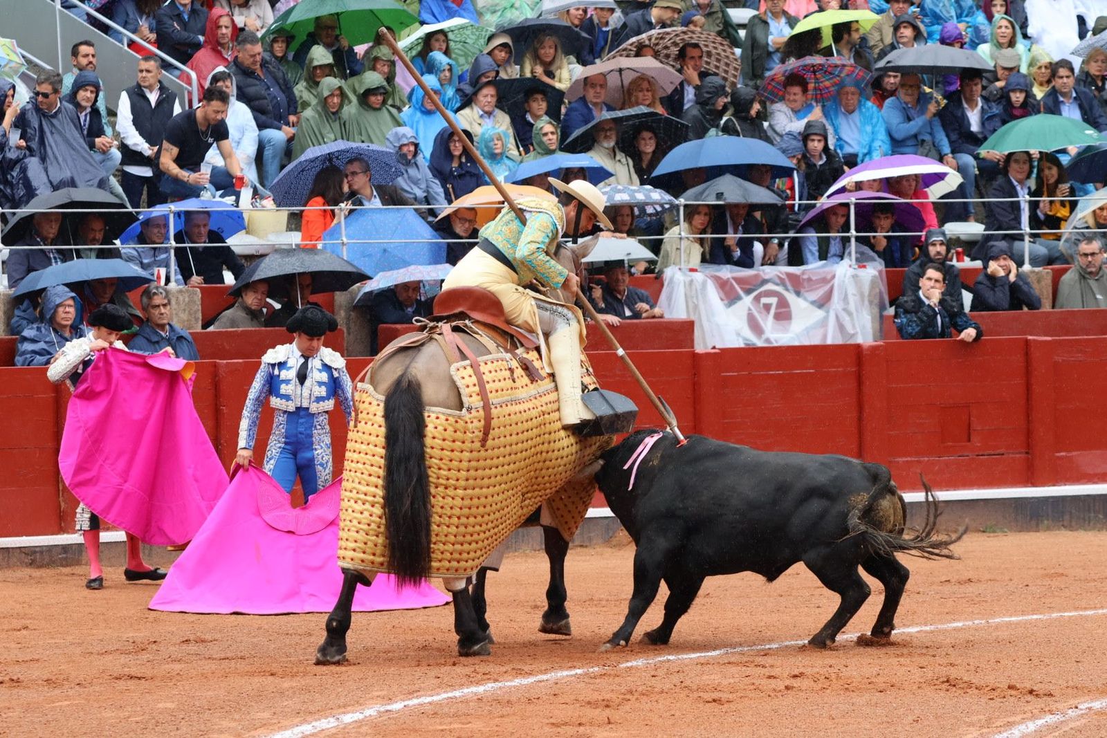 20230916171232-img-5184