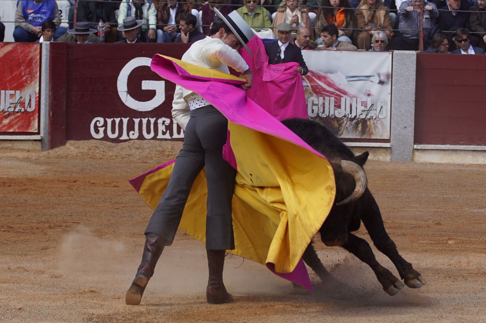 Festival taurino solidario por la esclerosis múltiple en Guijuelo
