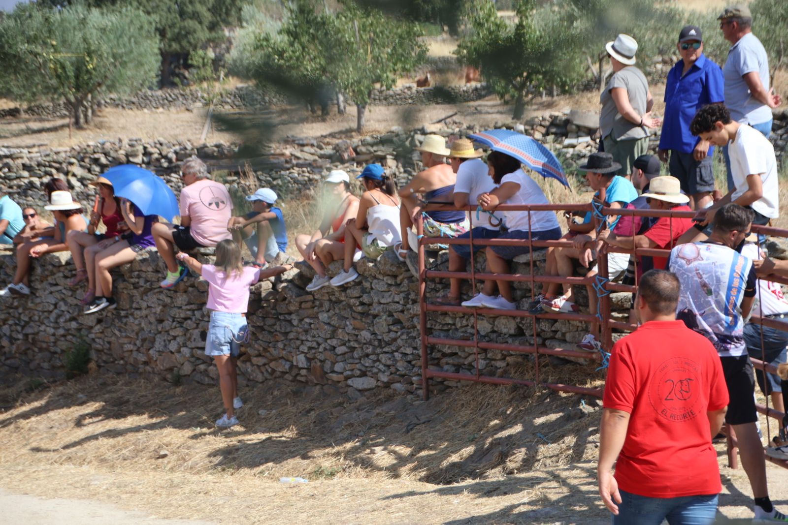 Lumbrales encierro a caballo