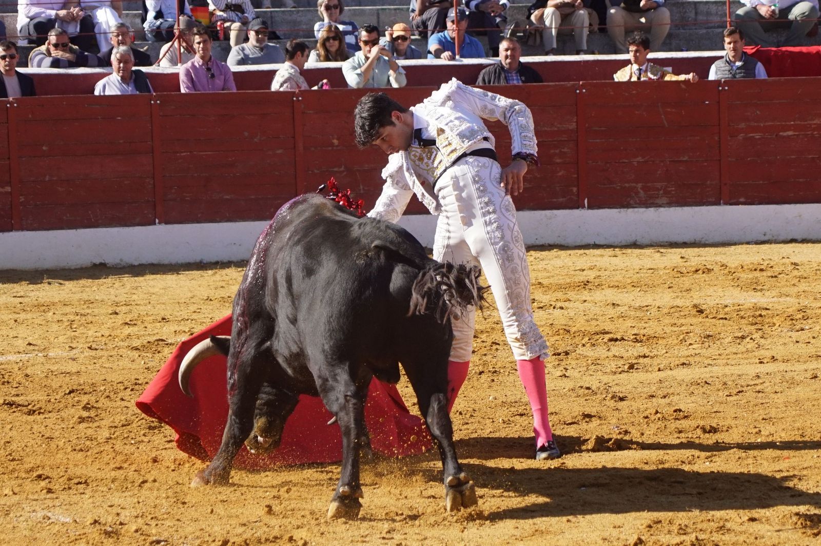 novillada-con-picadores-en-villoria-32