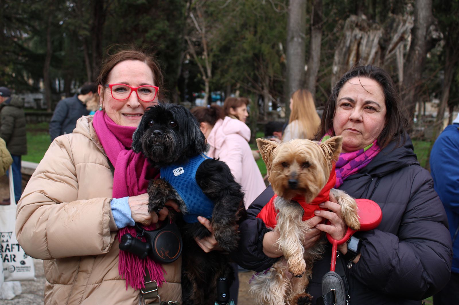 san-anton-bendicion-de-animales-2024-foto-s24h-39