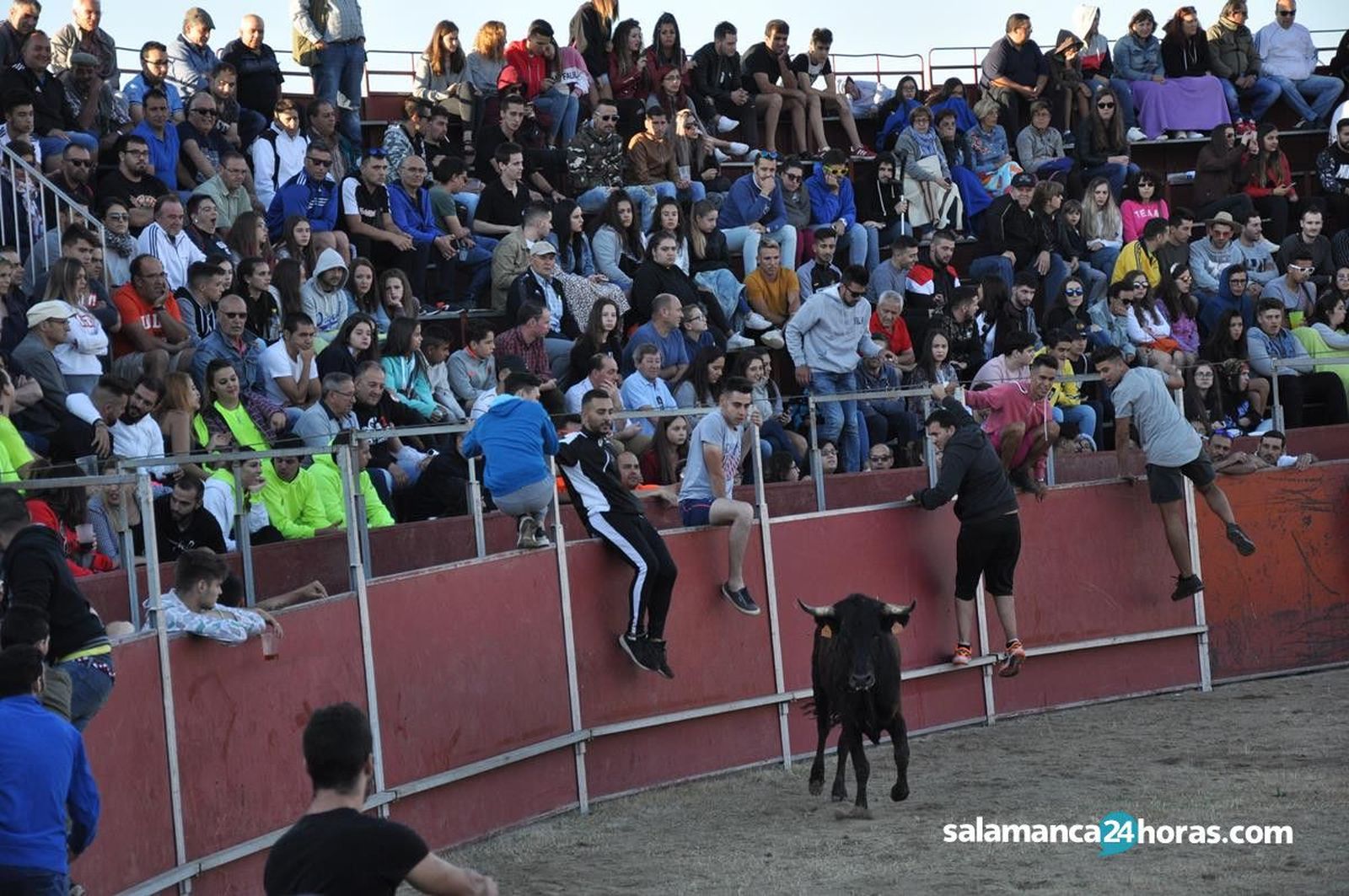 Santa Marta Aguardiente (70)