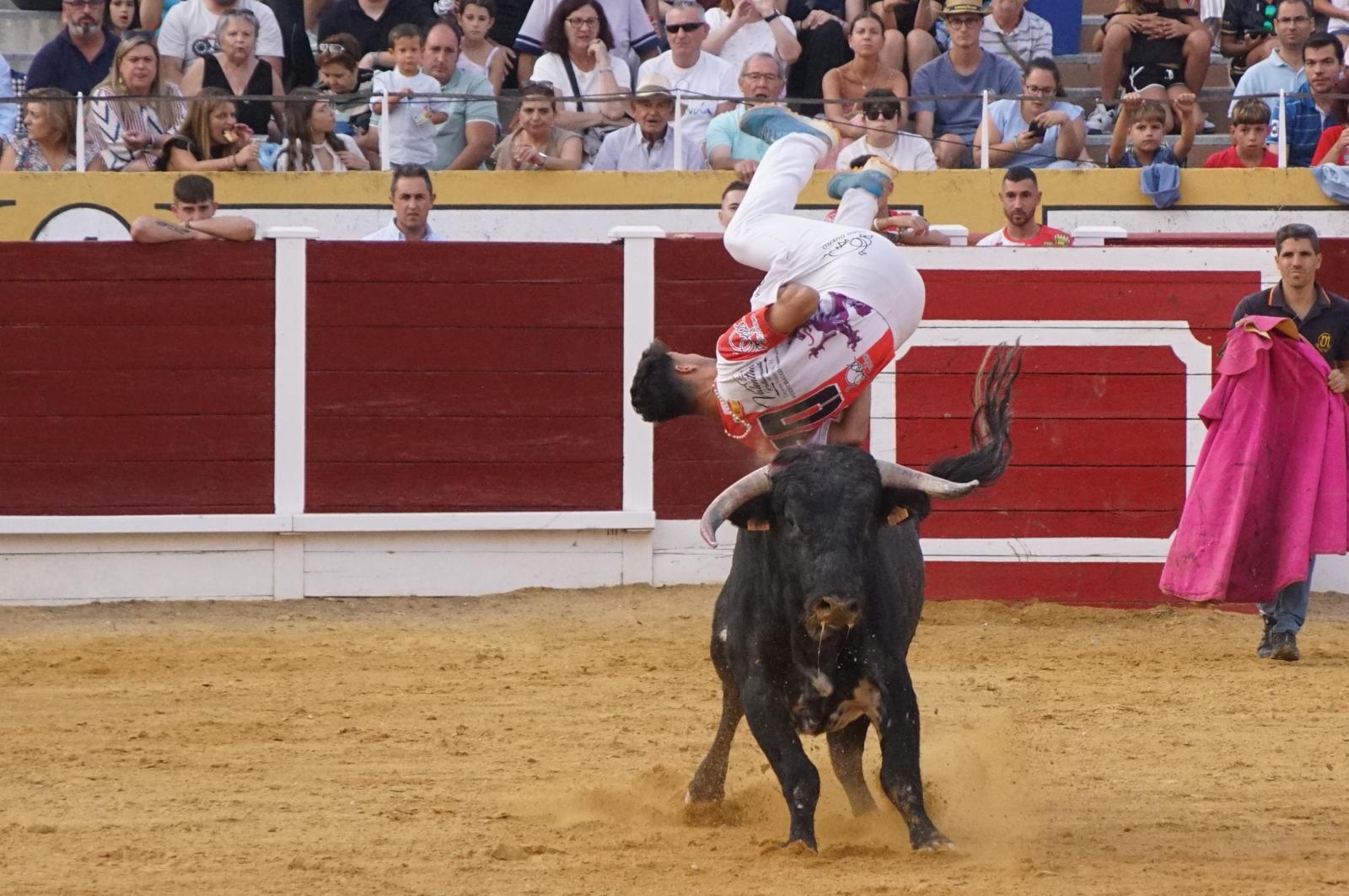 Gran ambiente en los cortes y la suelta de vaquillas de Peñaranda