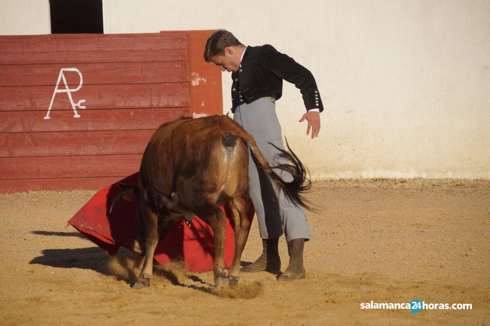 Semifinales encina charra (71)