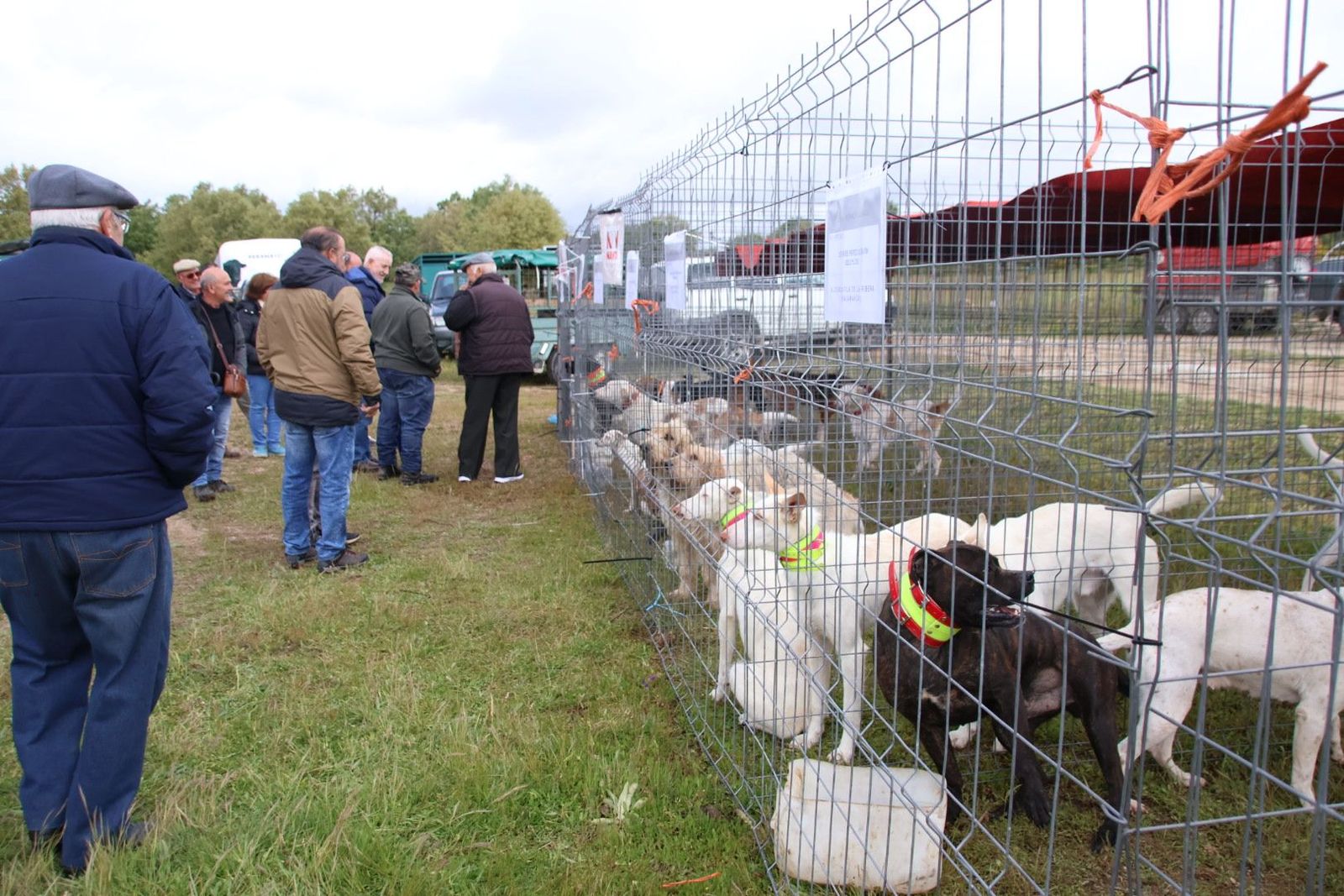 20240501103950-img-2950