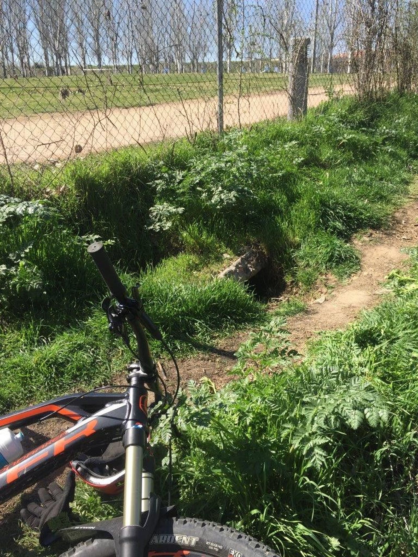 Bici camino Salas Bajas 4