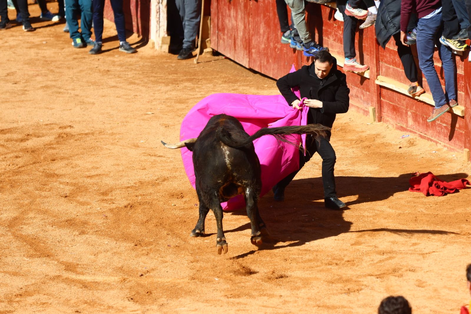 Capea de mañana en el martes del Carnaval del Toro de Ciudad Rodrigo