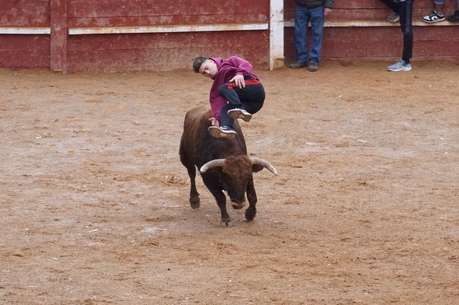 whatsapp-image-2024-02-11-at-14-02-04-1