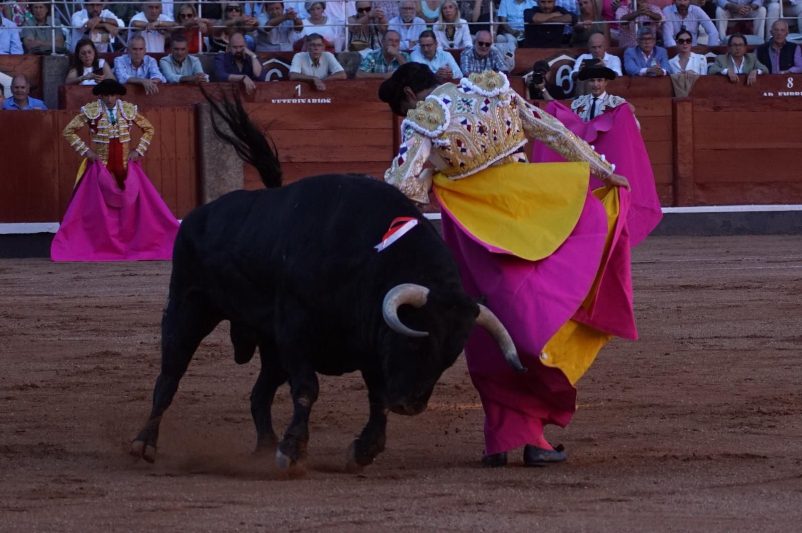 Emilio de Justo, Juan Ortega y Roca Rey inauguran el cartel de figuras en la feria de Salamanca: la corrida de Garcigrande en imágenes